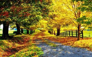 4ea5bb925f8e2b490212c641f9da512d